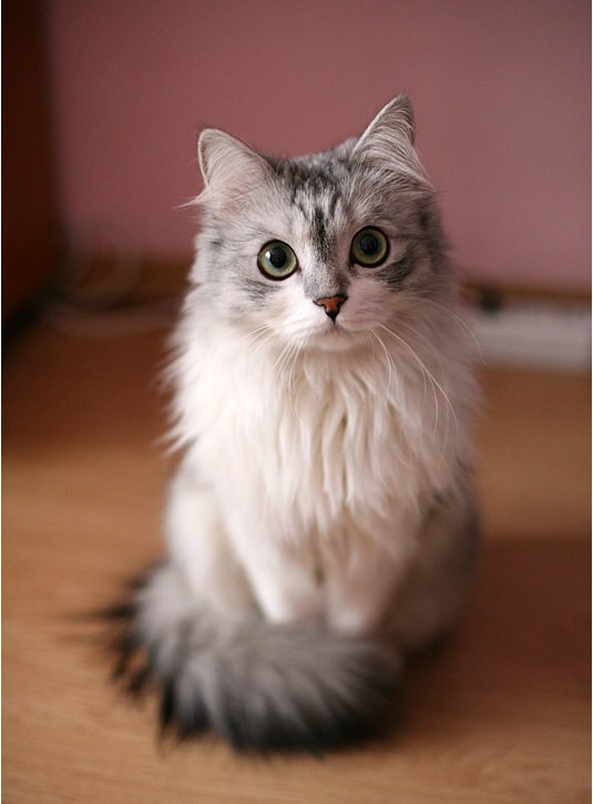 so_innocent_by_u_master1718